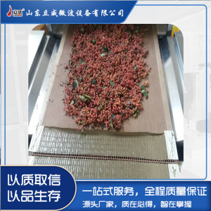 调料品干燥技术的创新应用 以辣椒段为核心的设备选择与优势